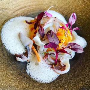 82283758_2763473140382090_477062414366408704_n