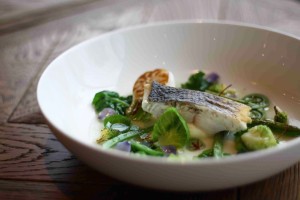 82295348_1765447450257651_8566288645256904704_n