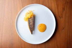 82456432_2722656491393370_1578800926850809856_n