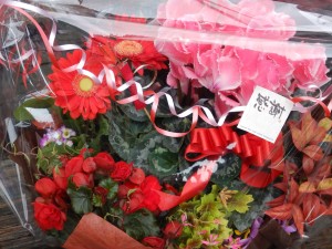 82479410_2572899792955823_3221939871090212864_n