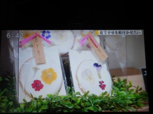 82595474_2695456640532385_8230862685965647872_o