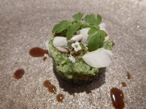 82653971_2698527610225288_704004440427855872_o