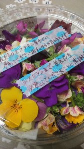 82945833_2776594162421260_2238042792917991424_n