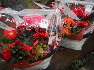 83032902_526881997929720_4631529278436016128_n