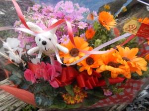 83136842_569406496977883_6972804389157208064_n