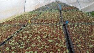 83193538_215391986292433_171976563615596544_n