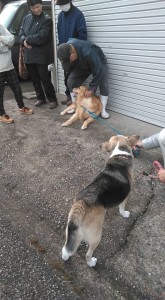 83588819_185606932822953_6764507602106712064_n