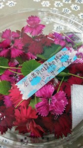 83740422_1497063830442983_1504510014243471360_n