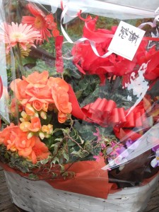 83863626_214136212948835_3214666623147311104_n