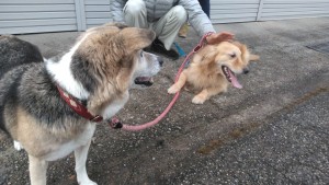 84002076_496928624344717_5656152902956220416_n