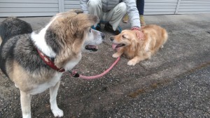 84476965_2673090486121000_7900286848558170112_n