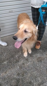 84595361_1044538465909194_6285313101550059520_n