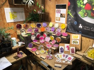 84480506_1389559441231035_339390411673960448_n