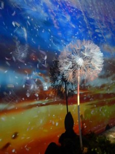 85078822_2776563032421745_5578457696190857216_n