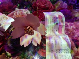 85139988_2776563569088358_4598237728499302400_n