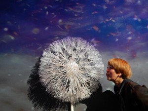 85141352_2776563149088400_2513220570183630848_n