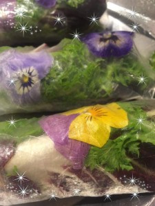 86189414_492824221644653_2878605244919447552_n