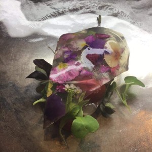 86255230_2485706058424996_8144269037107412992_n