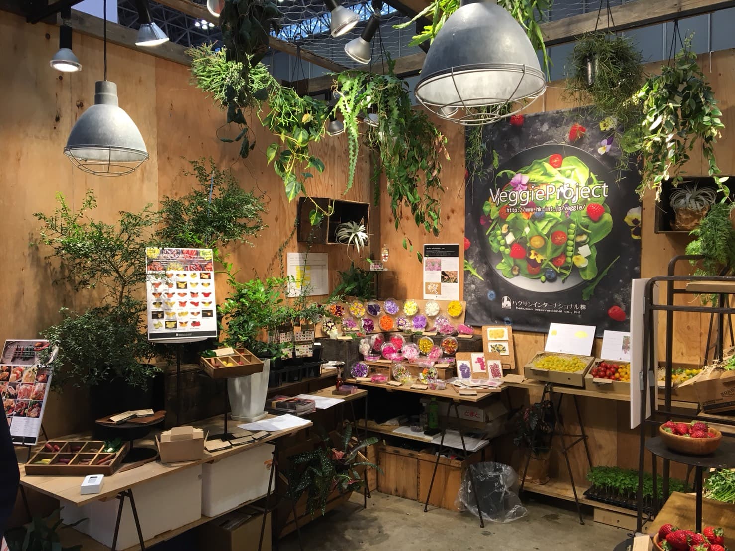 美食花でふらわーんだふぉーーー🌸