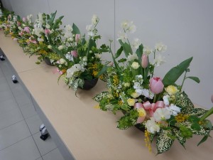 86811778_2764699366941445_7323166230364291072_n