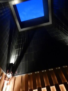 87047100_2777716095639772_7830958126416265216_n