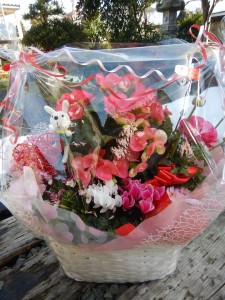 87209229_493264488281604_2690627578779140096_n