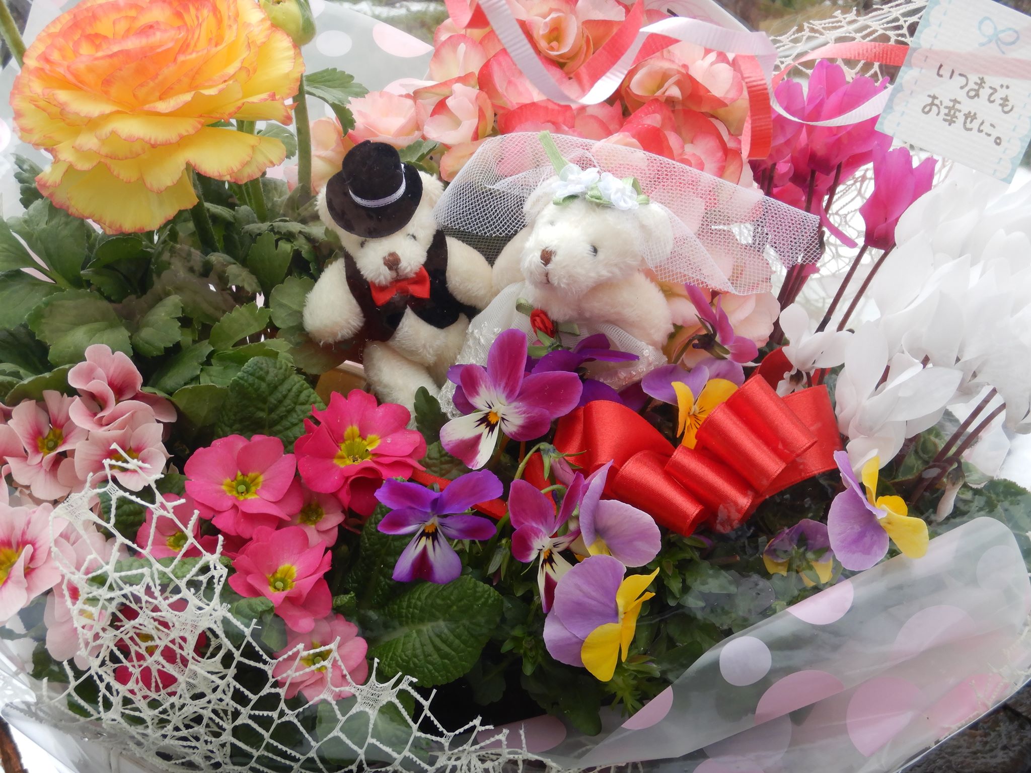 結婚のお祝いに🌸