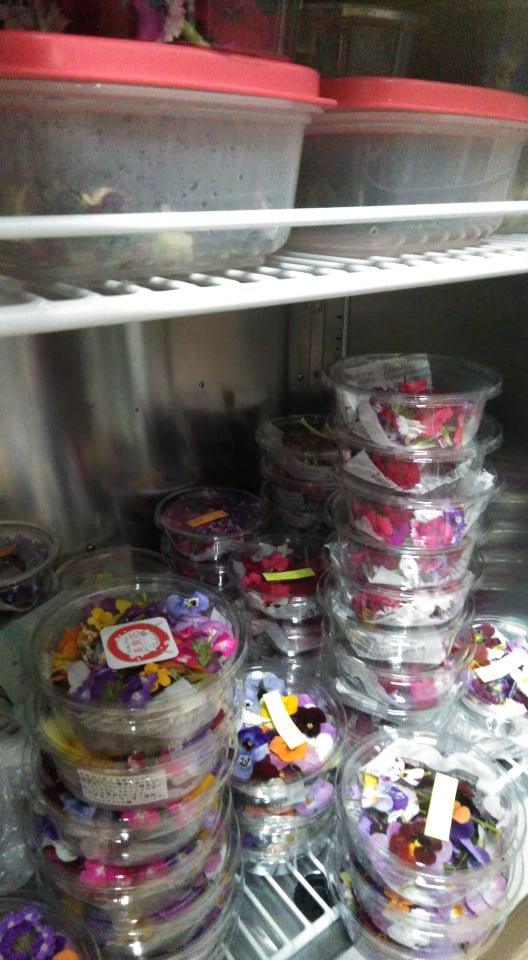 なるほどなるほど