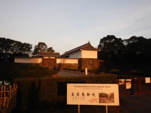 87302432_894396034347724_9016605366263218176_n