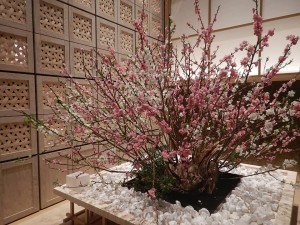 87324661_2776564815754900_3668387251764592640_n