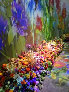 87392125_2776562842421764_7870158877042409472_n