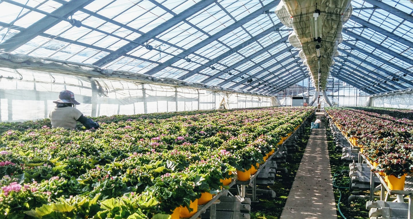 出荷間近！！！