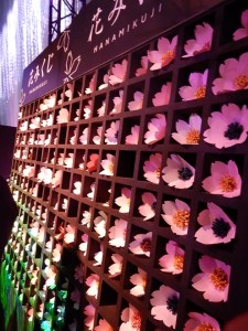 87484315_2776563452421703_2842854065996562432_n