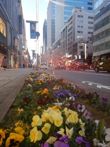 87990960_2776564275754954_2954295621080580096_n