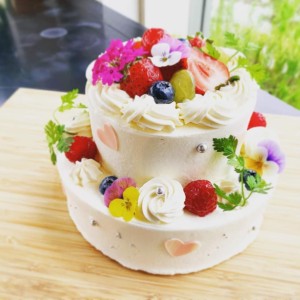 86738745_550345595837991_7533694617997279232_n