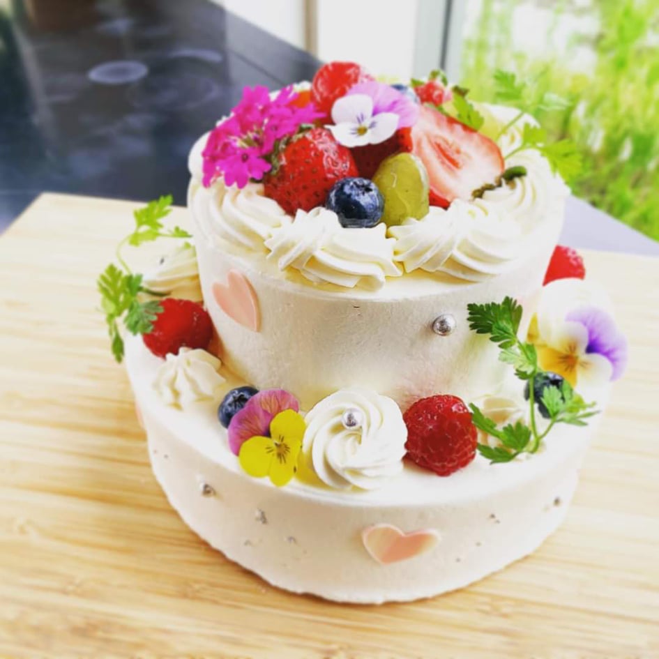 うっとり写真🌸