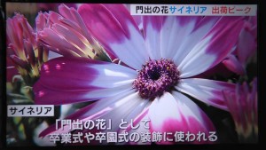 87710456_2810847308993317_2513835570845712384_n