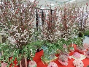 87731397_2785978454813536_5170273431832231936_n