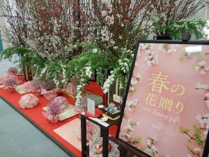 88106802_2785978364813545_1899329796370857984_n