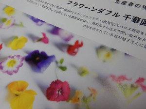 89241794_2800559210022127_6615547875604561920_o