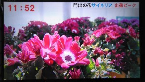 89355162_2810847485659966_7355311801422053376_n