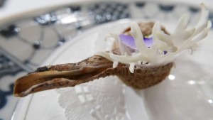 89359537_887288361718510_6678529898803363840_n