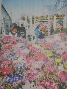 89373189_2806139379464110_3053625583138242560_o