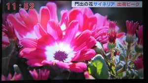 89389496_2810849805659734_3177009500947218432_n