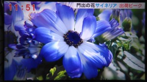 89471549_2810846885660026_4209064647250149376_n