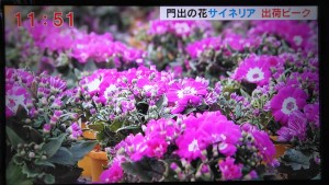 89639595_2810847175659997_3215257370129072128_n