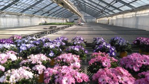 89932578_3047096068663489_4569631592745533440_n