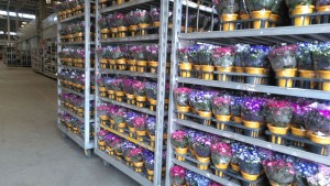 90063381_194666918635610_1152507396745068544_n