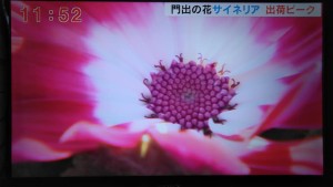 90079812_2810848142326567_8737519078563905536_n