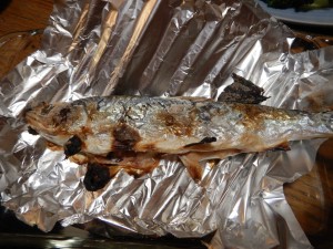 90206667_2830371617040886_1368303840939474944_o